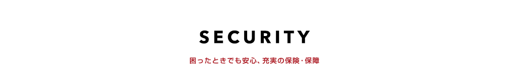 SECURITY ƂłSA[̕یEۏ