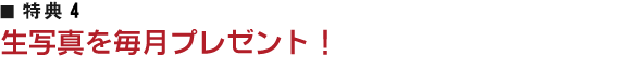 T4 ʐ^𖈌v[gI